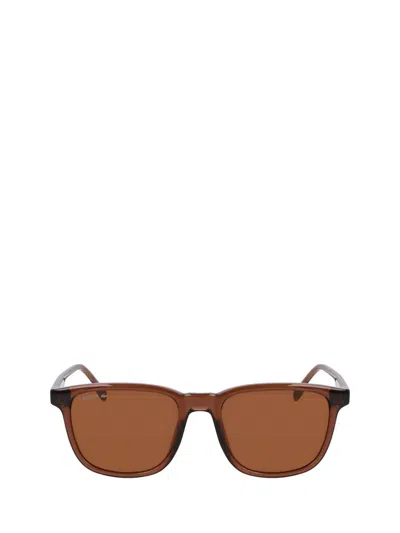 Shop Lacoste Sunglasses In Brown