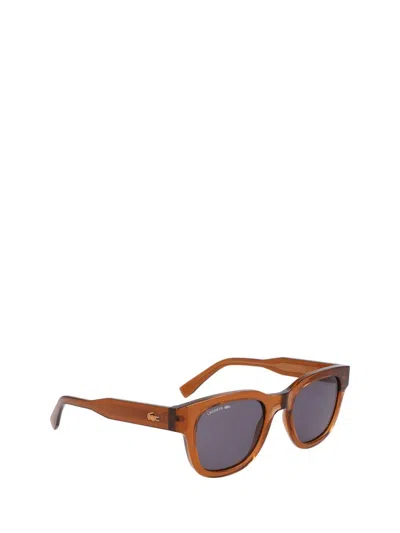 Shop Lacoste Sunglasses In Brown