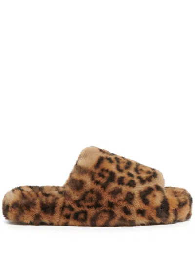 Apparis Dillon Slippers In Brown
