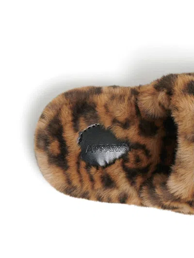 Apparis Dillon Slippers In Brown