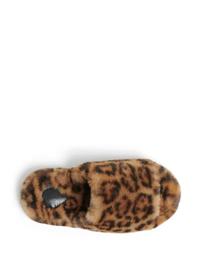 Apparis Dillon Slippers In Brown