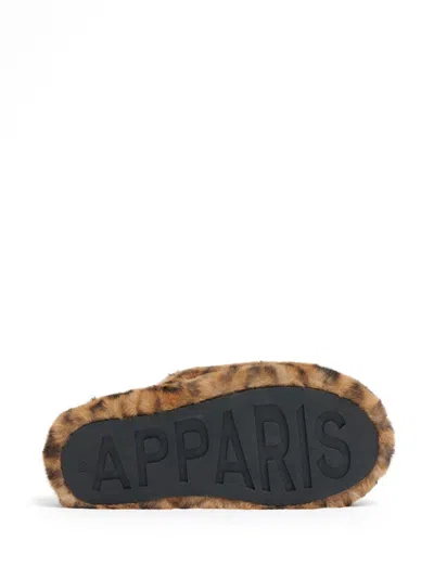Apparis Dillon Slippers In Brown