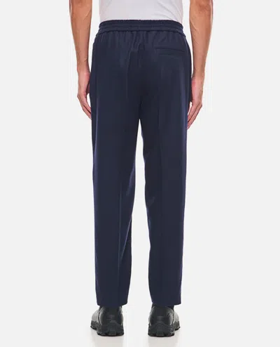 Apc Pieter Wool Trousers In Brown