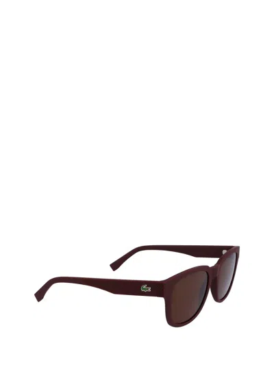 Shop Lacoste Sunglasses In Matte Red