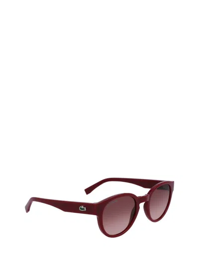 Shop Lacoste Sunglasses In Dark Red