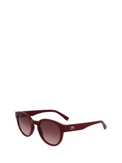 Shop Lacoste Sunglasses In Dark Red