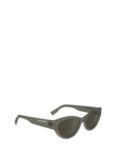 Shop Lacoste Sunglasses In Brown