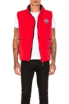 Canada Goose Freestyle Crew Quilted Down Gilet In Red