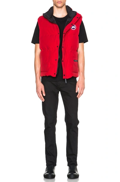 Shop Canada Goose Freestyle Poly-blend Vest In Red