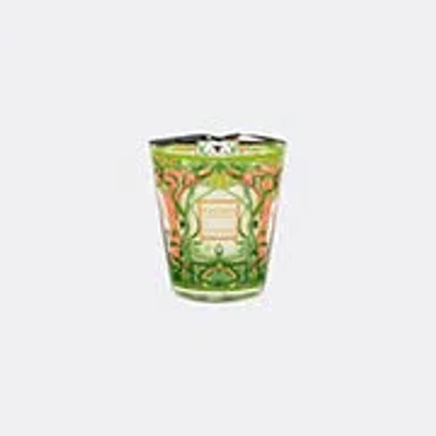Baobab Collection Candlelight And Scents Green And Pink Uni In Green And Pink