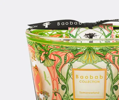 Baobab Collection Candlelight And Scents Green And Pink Uni In Green And Pink