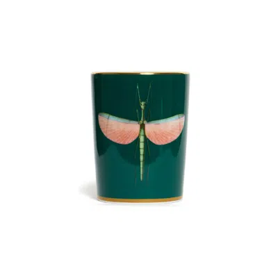La Doublej Decorative Cup In Libellula Green