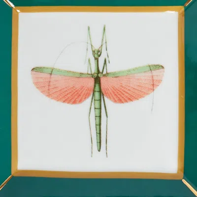 La Doublej Trinket Tray In Libellula Green