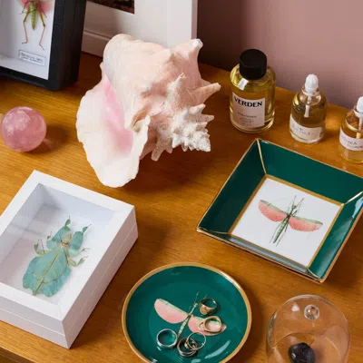 La Doublej Trinket Tray In Libellula Green