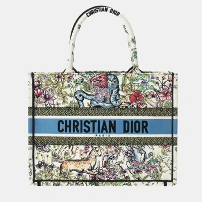 Pre-owned Dior Canvas Embroidered Medium D-constellation Book Tote Tote Bag In Multicolor