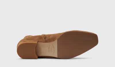 Scarosso Constanza Ankle Boots In Tan - Suede