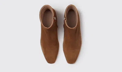 Scarosso Constanza Ankle Boots In Tan - Suede