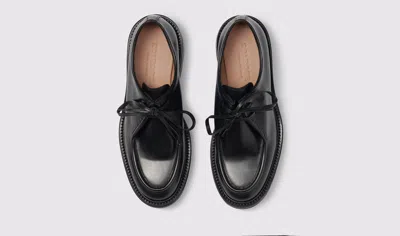 Scarosso Carolina Lace-up Shoes In Black