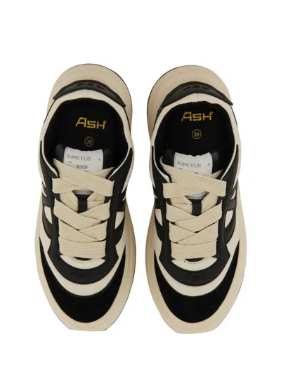 Ash Impetus Sneaker In Multicolour