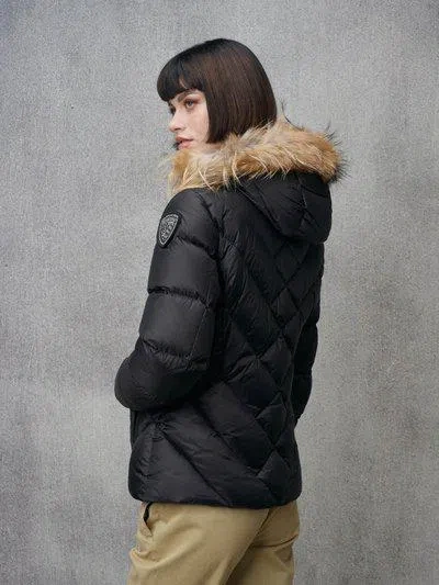 Blauer Usa Jacket In Black