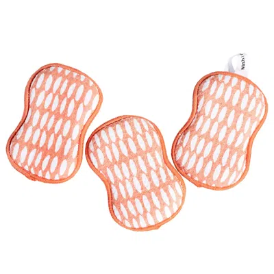 Once Again Home Co. Re:usable Sponges, Beans Pattern, Set Of 3, Navy Blue In Pink