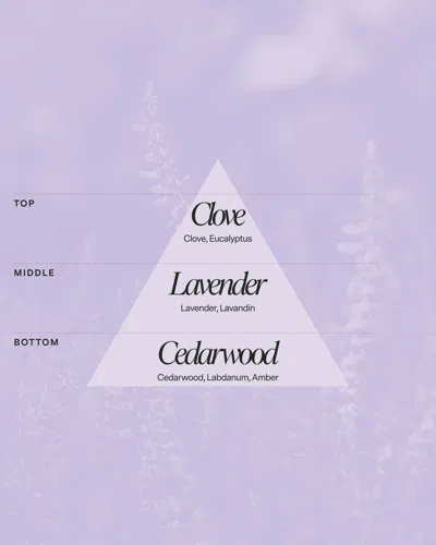 Siblings No 05 — Clove, Lavender, Cedarwood