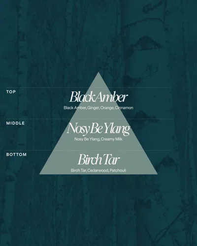 Siblings No 15 — Black Amber, Nosy Be Ylang, Birch Sap