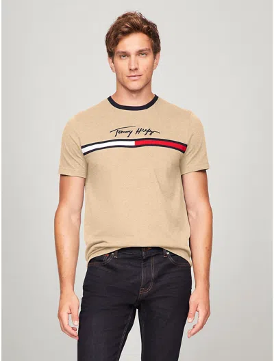 Tommy Hilfiger Hilfiger Signature Flag Logo T In Multi