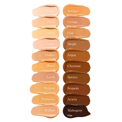 Ogee Complexion Perfecting Tinted Serum