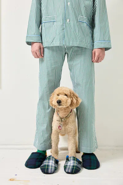 Alex Mill X Schostal Striped Long Sleeve Pajama Set In Green Stripe