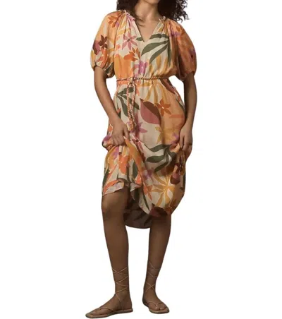 Velvet By Graham & Spencer Carol Oasis Midi Dress In Multi