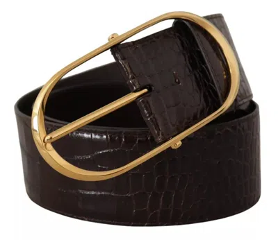 Dolce & Gabbana Brown Crocodile Pattern Leather Gold Oval Buckle Belt In Brown