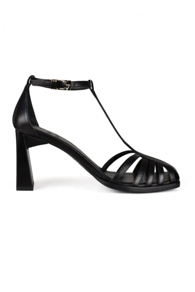 Anest Collective Women Spider Sandals In Black
