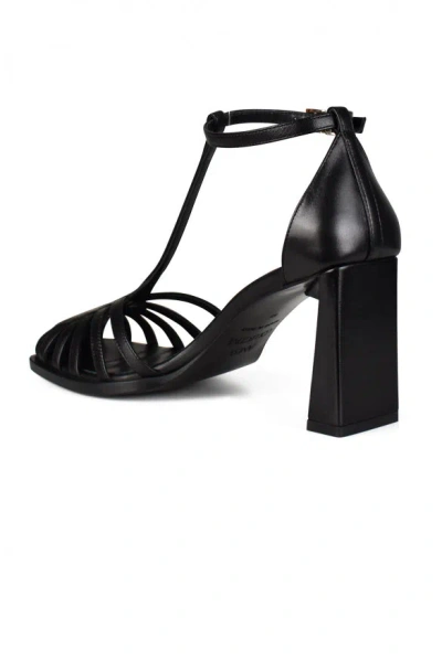 Anest Collective Women Spider Sandals In Black