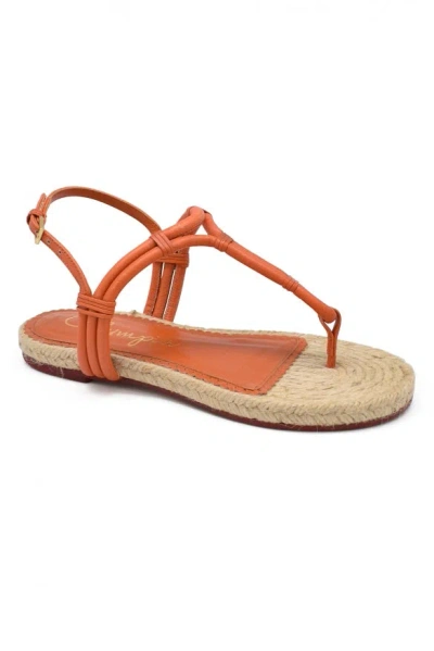 Charlotte Olympia Sandals In Orange