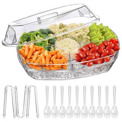 FRESH FAB FINDS FRUIT ICE SERVING TRAY COLD FOOD BUFFET SERVER WITH LID 