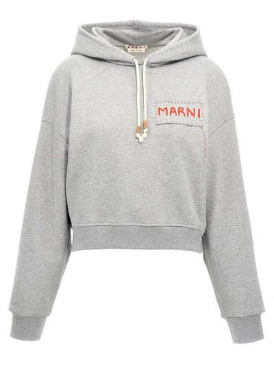 Shop Marni Logo Print Cropped Hoodie Sweatshirt In Gray