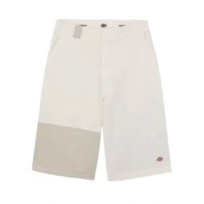 Dickies Bermuda Eddyville Colorblock