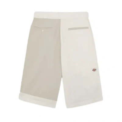 Dickies Bermuda Eddyville Colorblock