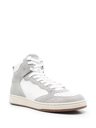 Polo Ralph Lauren Court Hi-top Suede Sneakers