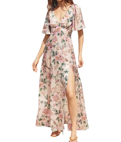 Dress Forum Morning Meadow Dress In Ecru/pink In Multi