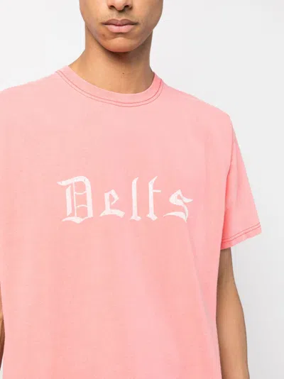 Wild Donkey T Delts