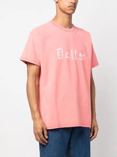 Wild Donkey T Delts