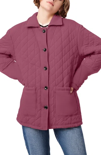 Bernardo Cotton Quilted Jacket In Multi