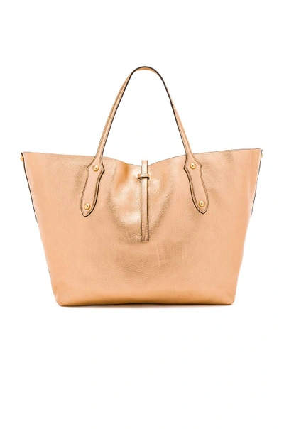 Shop Annabel Ingall Large Isabella Tote In Champagne