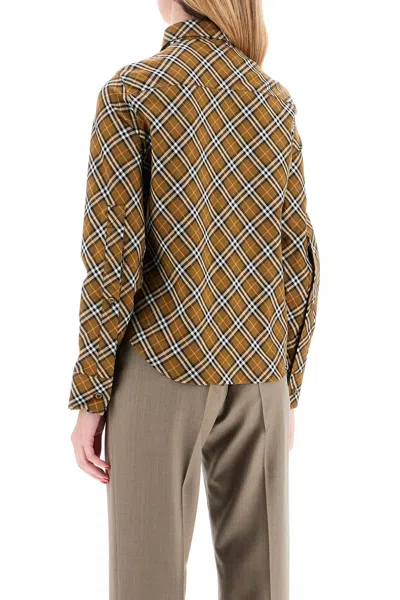 Shop Burberry Ered Shirt With Button Down Collar