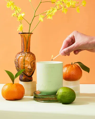 Caftari Elixir