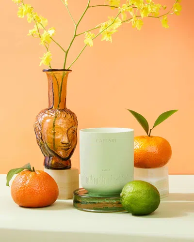 Caftari Elixir