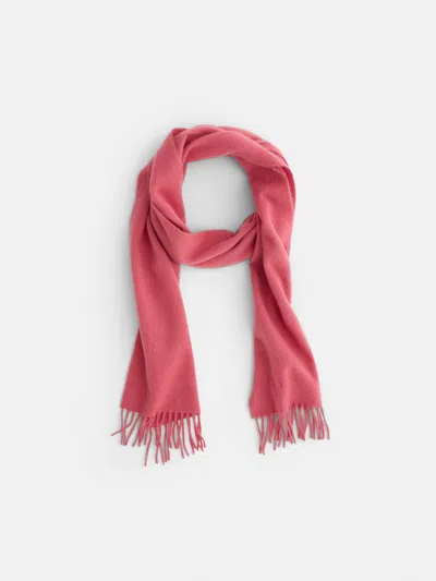 Alex Mill Joshua Ellis Cashmere Scarf In Rose