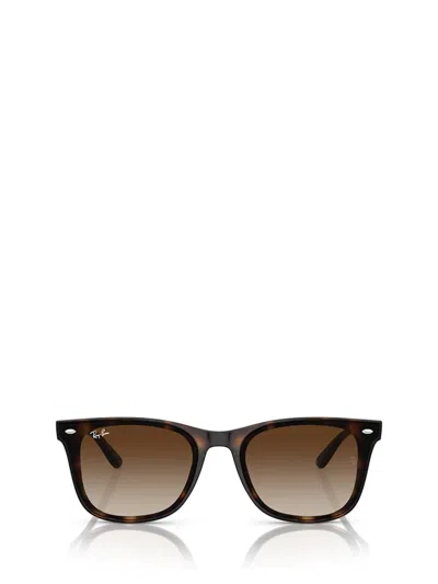 Ray Ban Ray-ban Womens Brown Rb4420 Square-frame Injected Sunglasses In Brown